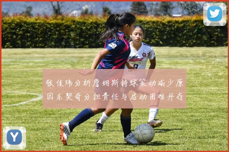 张佳玮分析詹姆斯持球策动减少原因东契奇分担责任与启动困难并存