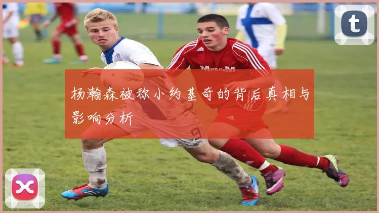 杨瀚森被称小约基奇的背后真相与影响分析