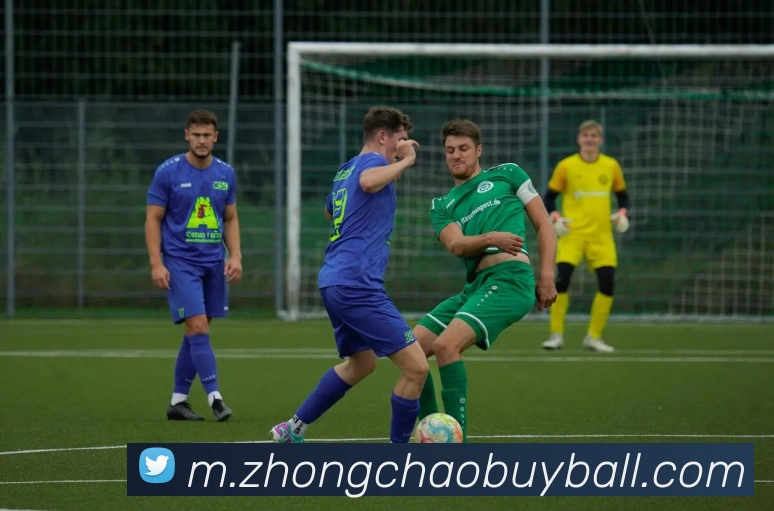 中超买球平台生态图